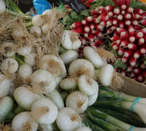Marché de producteurs locaux Lubersac