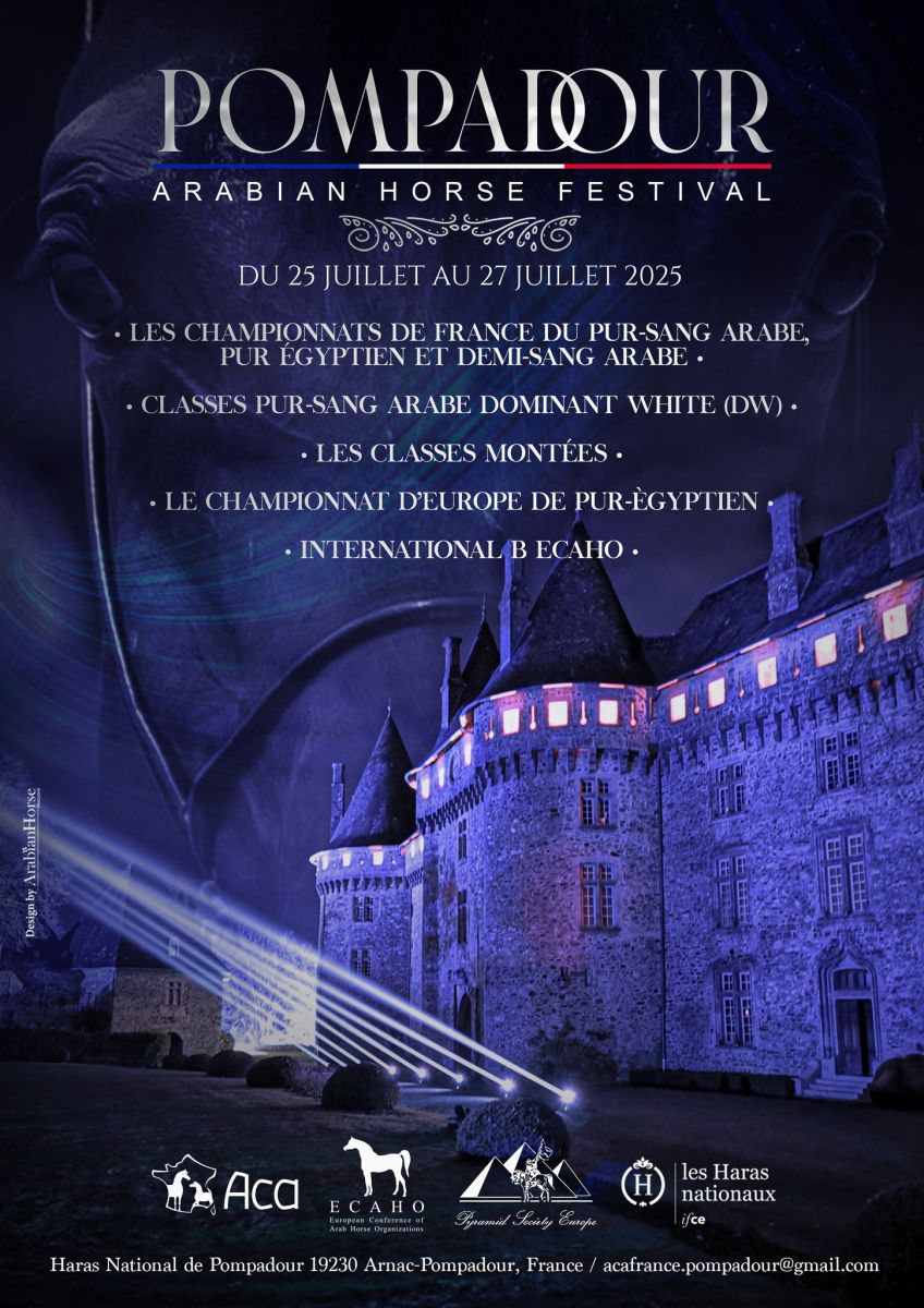 Grand show du cheval Arabe