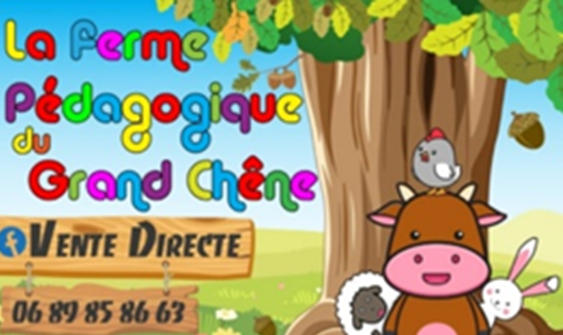 Chasse aux oeufs et visite