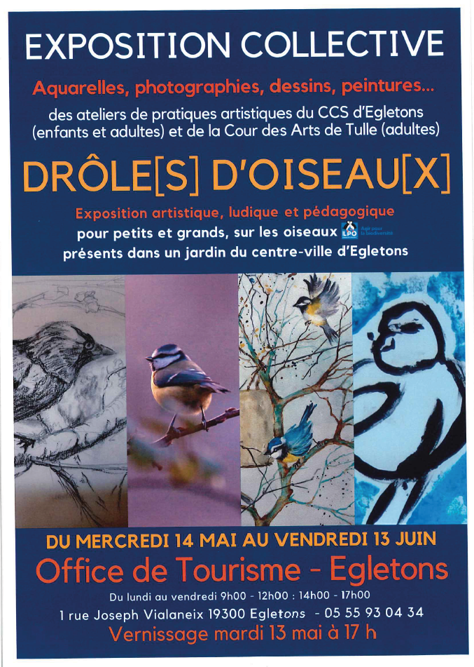 Exposition Drôles d'oiseaux