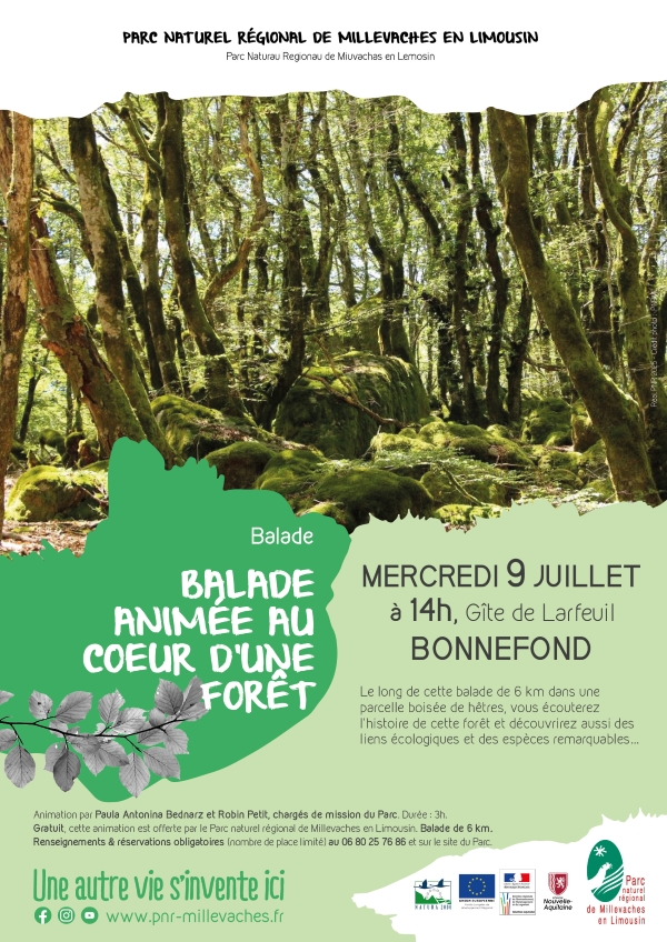 Chantier bénévole de restauration de milieux n ...