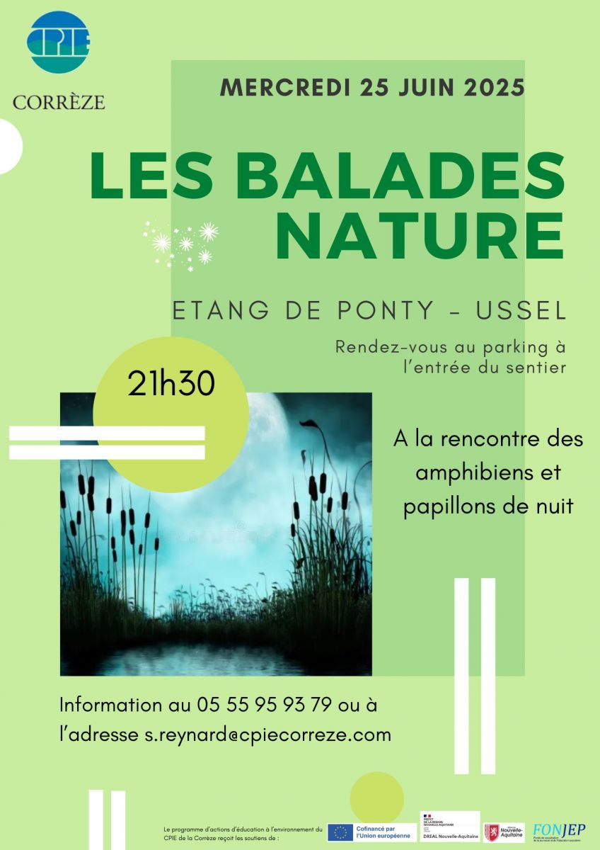 A la rencontre des amphibiens et papillons de nuit