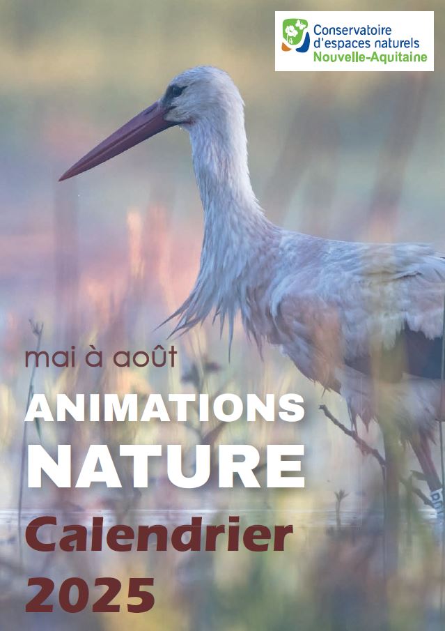 Sortie nature à la découverte des milieux, des ...