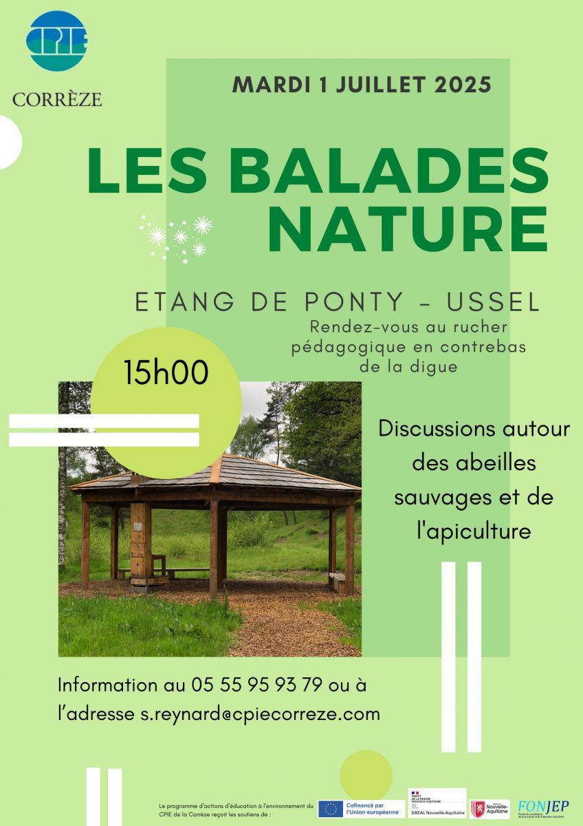 Discussions autour des abeilles sauvages et de ...