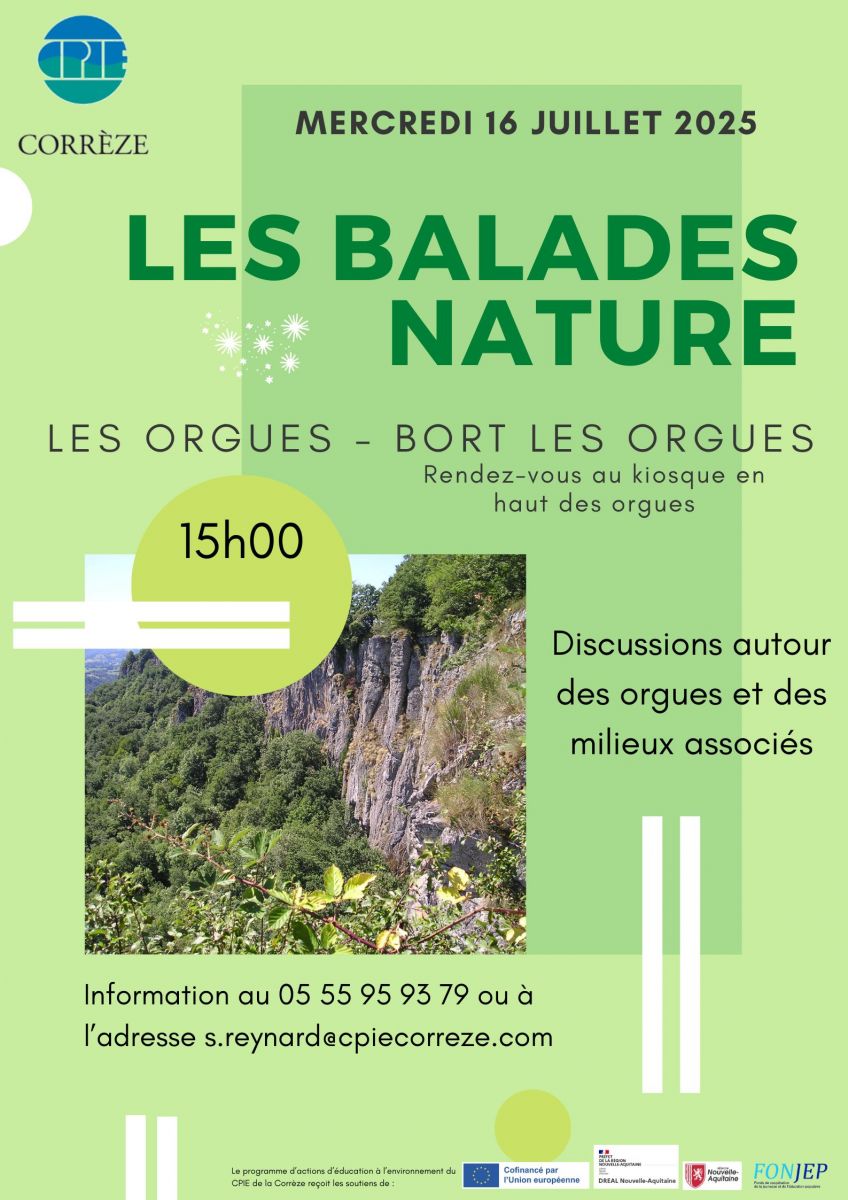 Autour des orgues et des milieux associés
