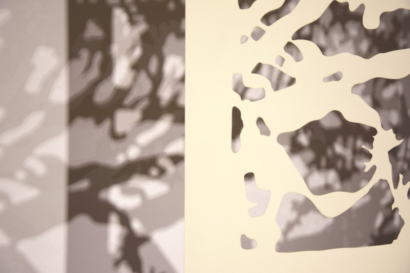 Exposition temporaire « À la lumière »