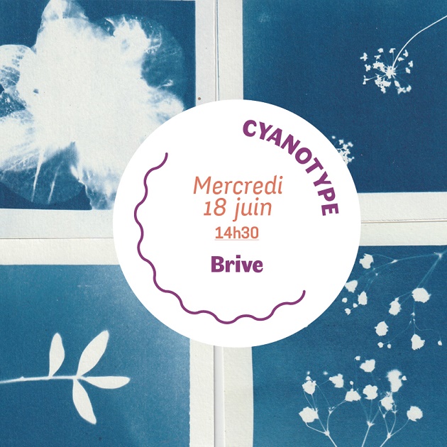 Atelier cyanotype (Mlle Libellule)