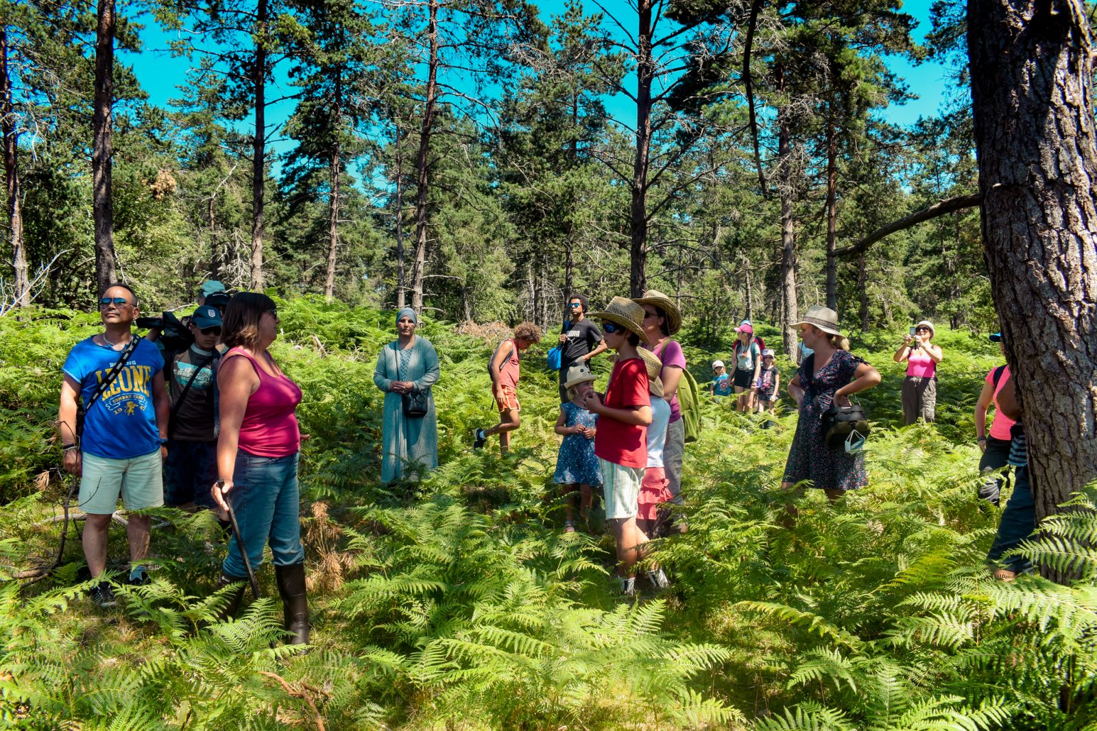 Balade animée aux tourbières