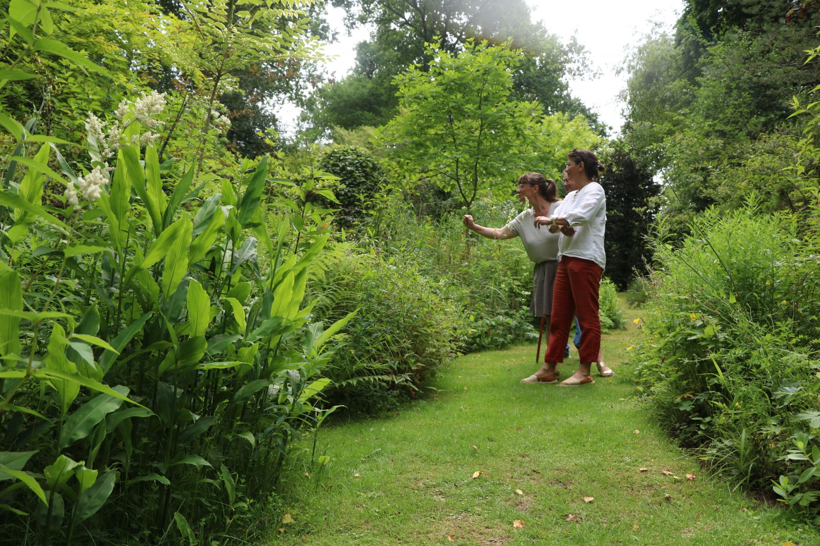 Rendez-vous aux jardins : Jardin des Bois