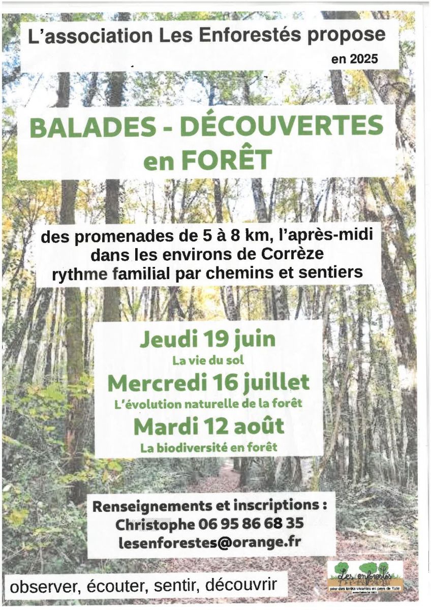 Balades