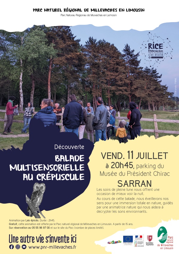 Balade multisensorielle au crépuscule