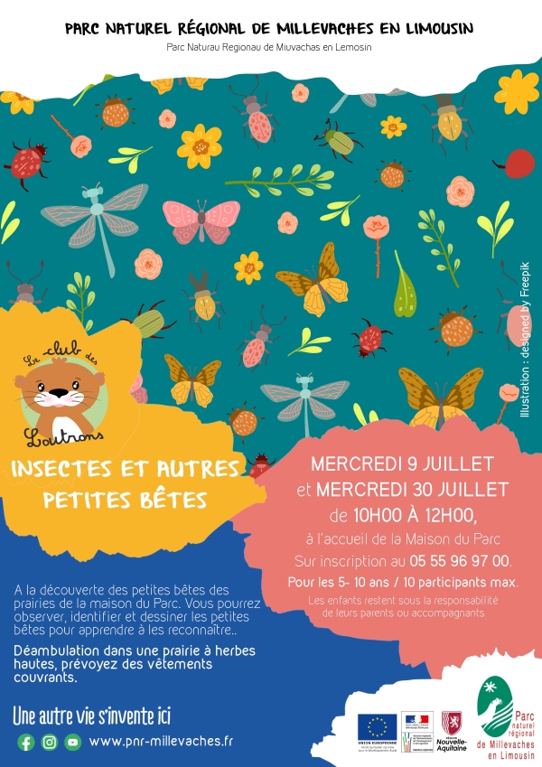 CLUB DES LOUTRONS : Insectes et autres petites ...