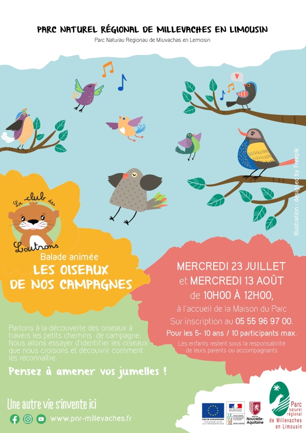 CLUB DES LOUTRONS : Les oiseaux de nos campagnes