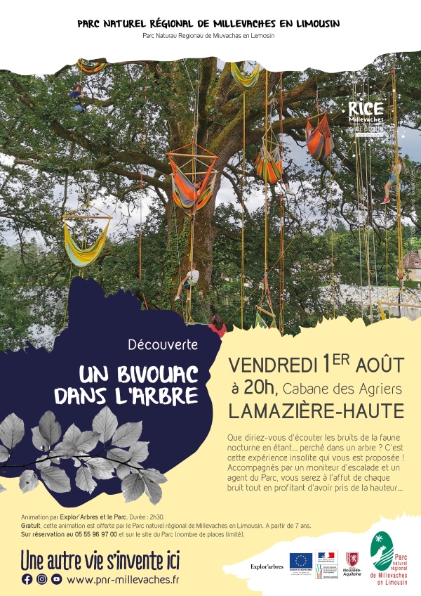 Un bivouac dans l'arbre
