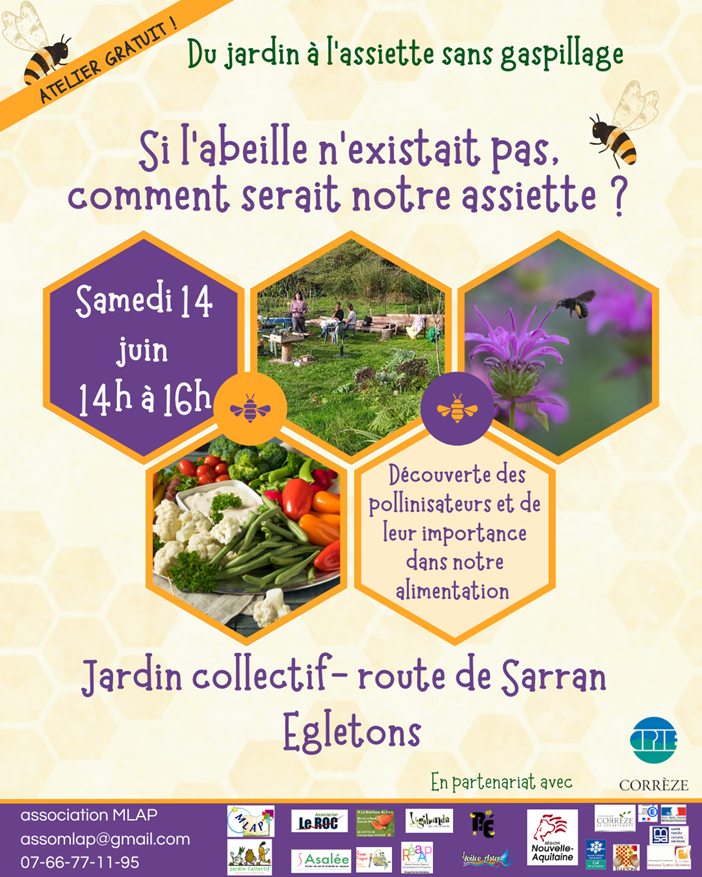Votre Assiette en Jeu : Rencontrez les Pollini ...