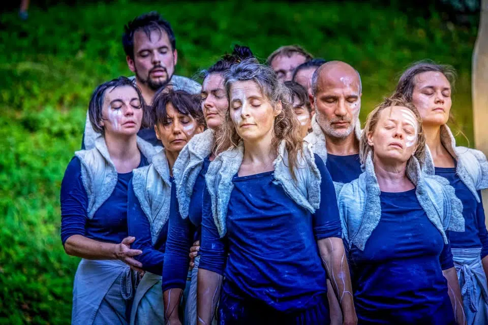 Spectacle de danse: Hyphes