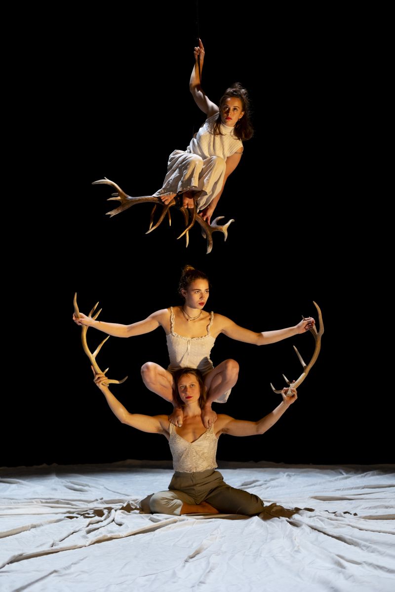 Faune