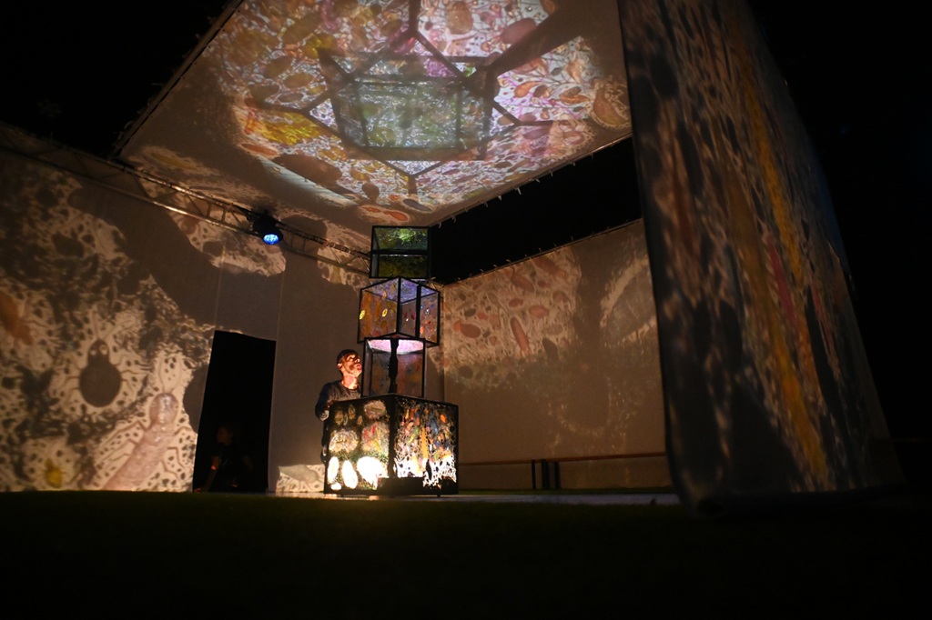 Auditorium Sophie Dessus : Minimus