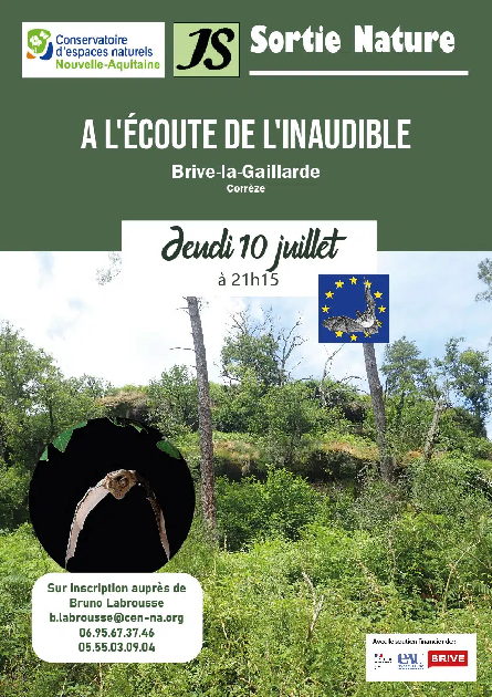 Sortie nocturne: A l'écoute de l'inaudible