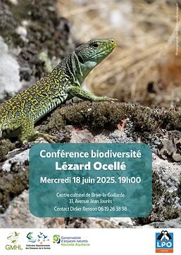 Conférence biodiversité: Lézard Ocellé (Centre ...