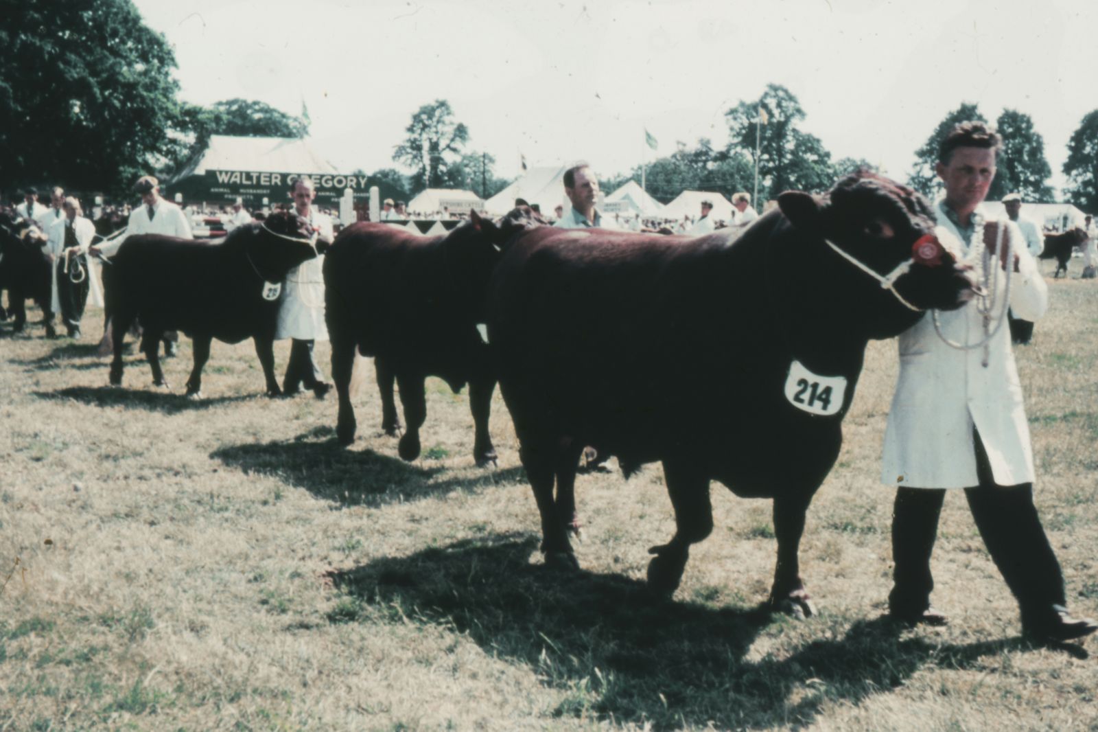 Comice Agricole