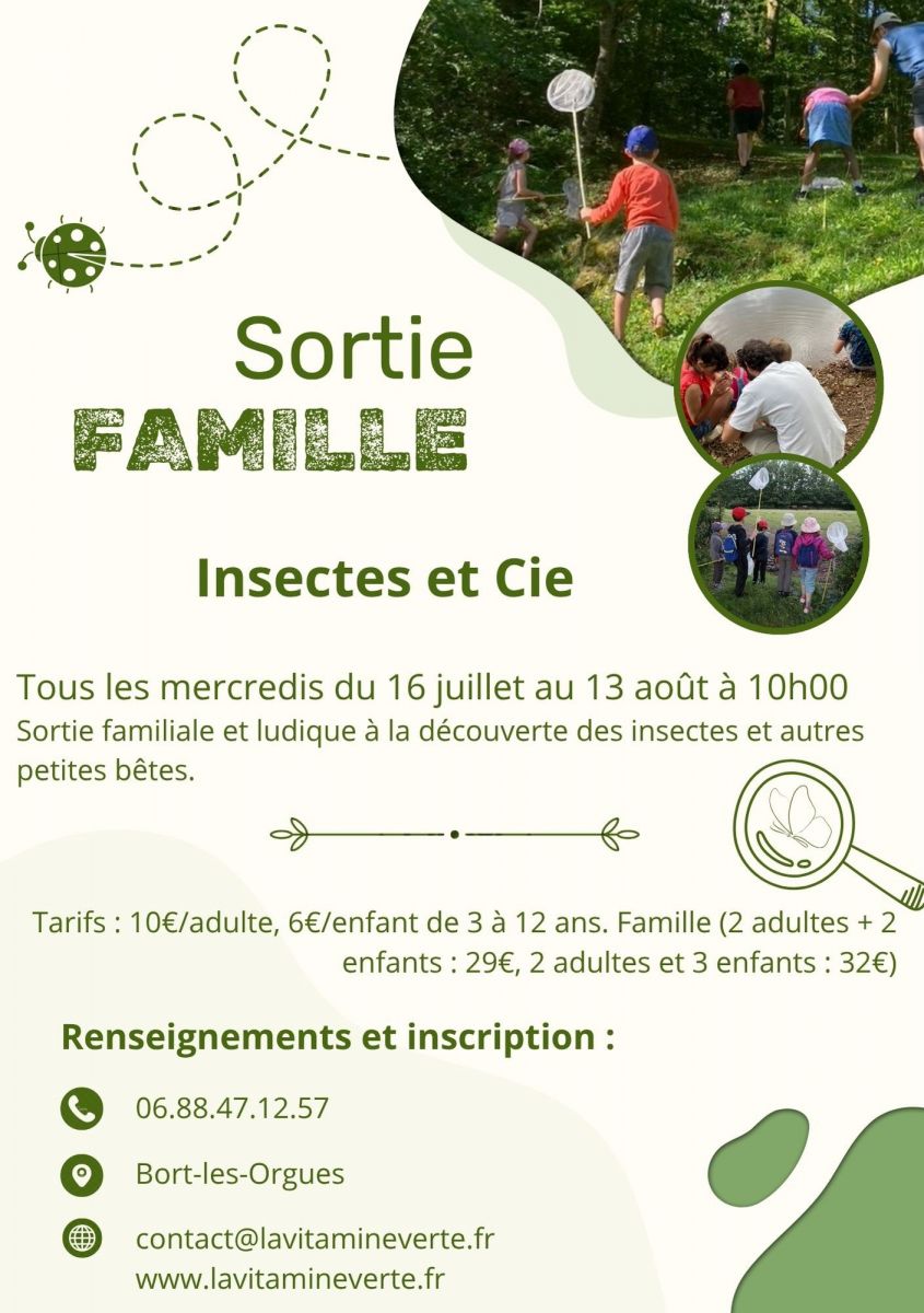 Sortie famille "Insectes et compagnie"