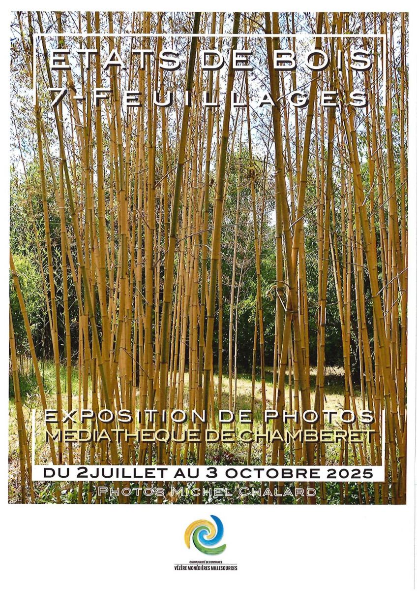 Exposition de photographies : Etats de bois 7  ...