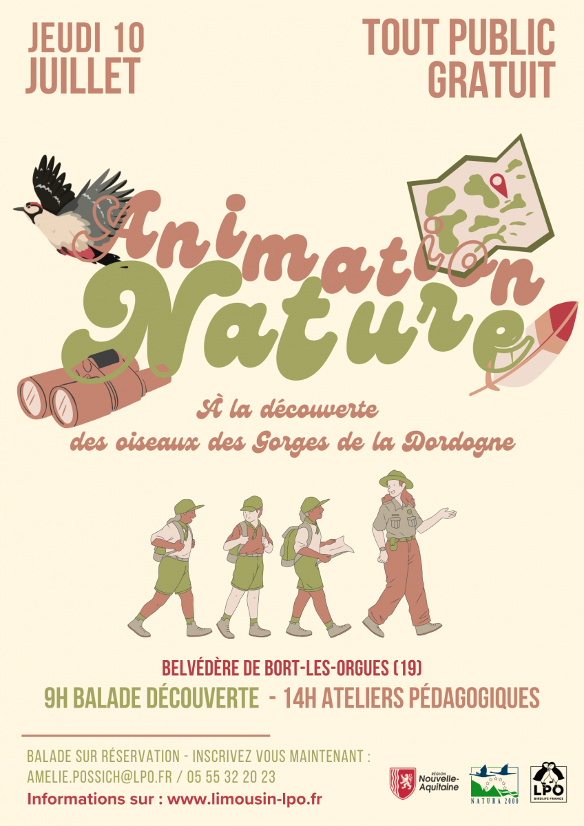 Animation nature A la découverte des oiseaux d ...