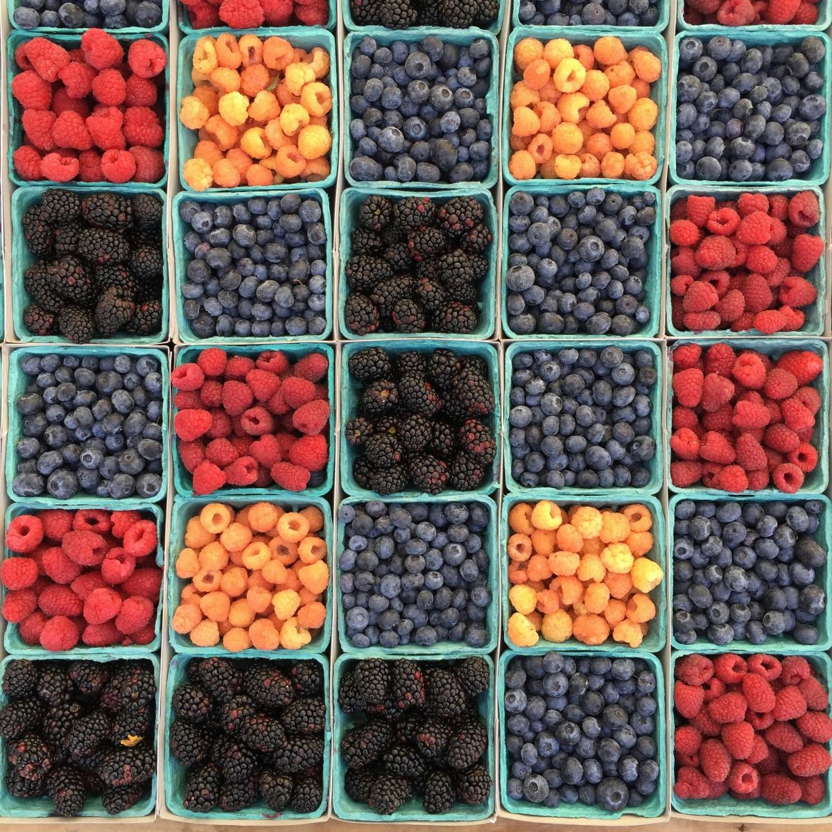Marché d'été à La Chapelle Saint Géraud