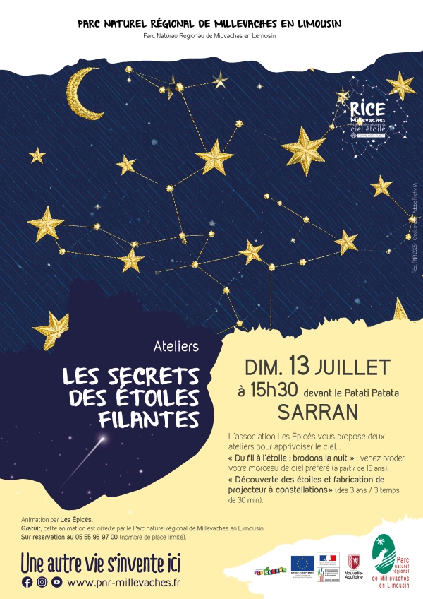 Les secrets des étoiles filantes