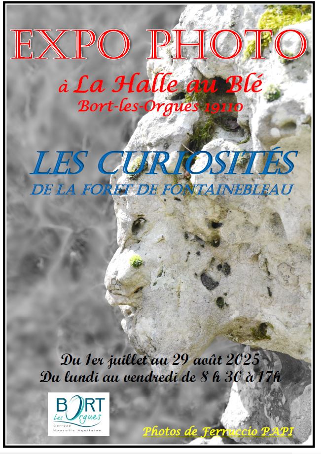 Exposition photo "Les curiosités de la forêt d ...