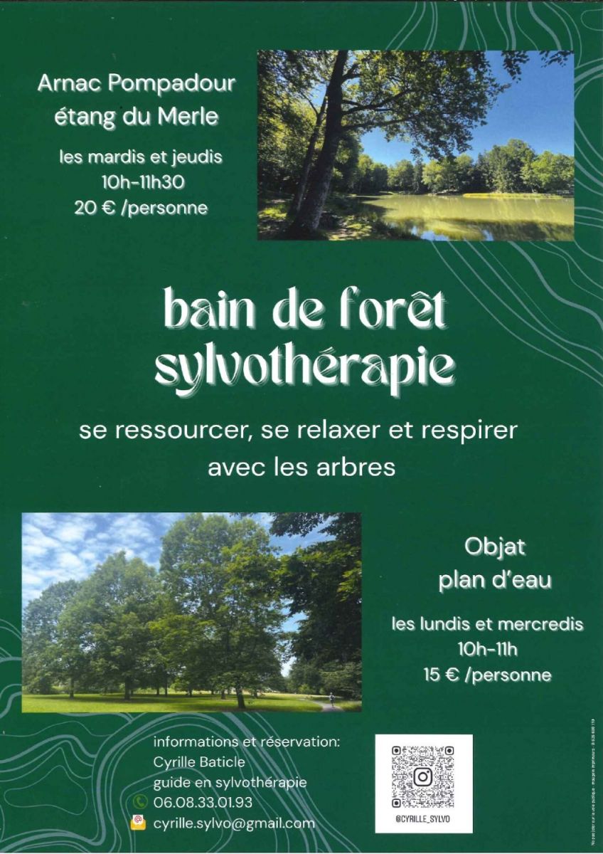 Animation : bain de forêt sylvothérapie