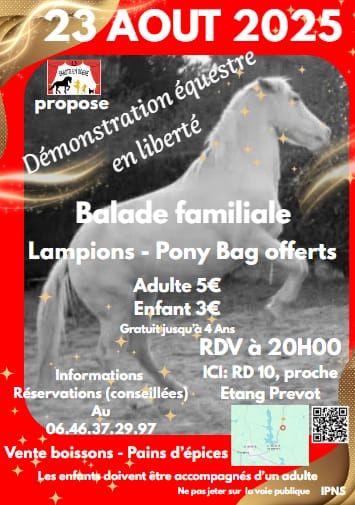 Démonstration équestre et balade