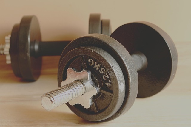Séminaire d'Haltérophilie (Haltéro crossfit Brive)