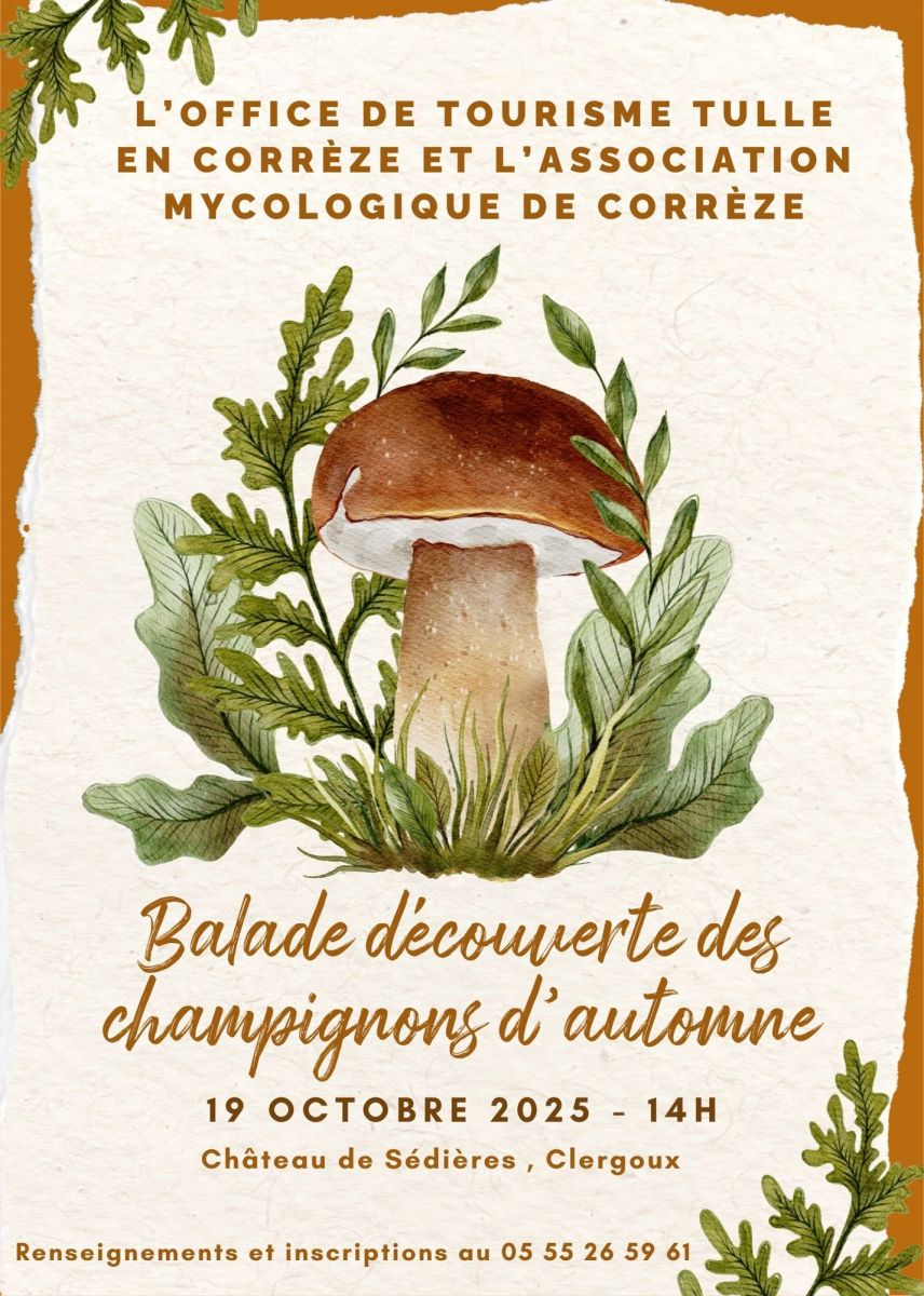 Balade découverte des champignons d'automne