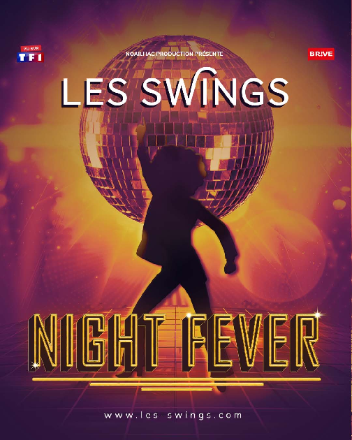 NIGHT FEVER - SPECTACLE DANSANT (Le Cabaret Ga ...