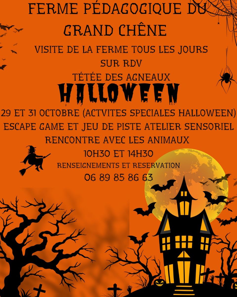 Halloween à la ferme