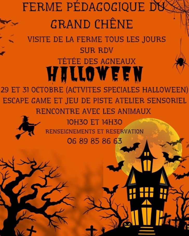 Halloween à la ferme