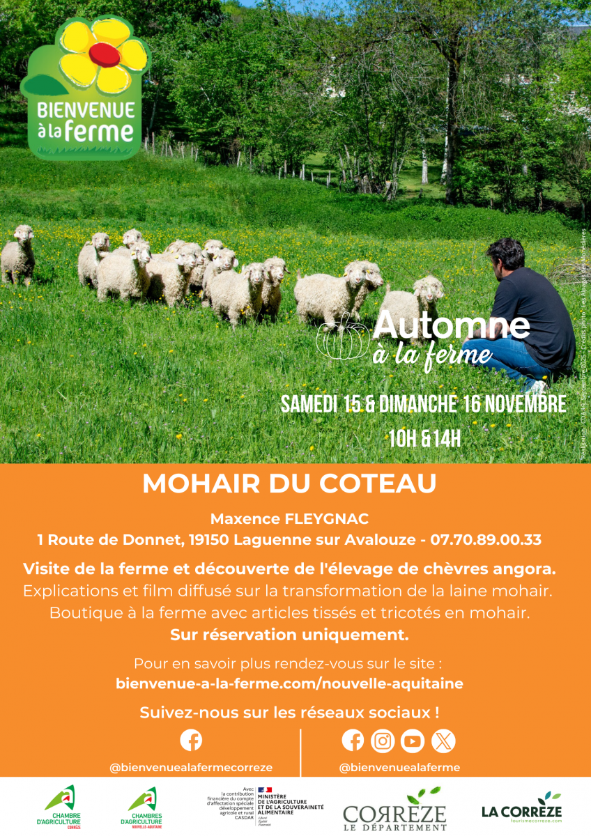 Automne à la Ferme - Mohair du Coteau