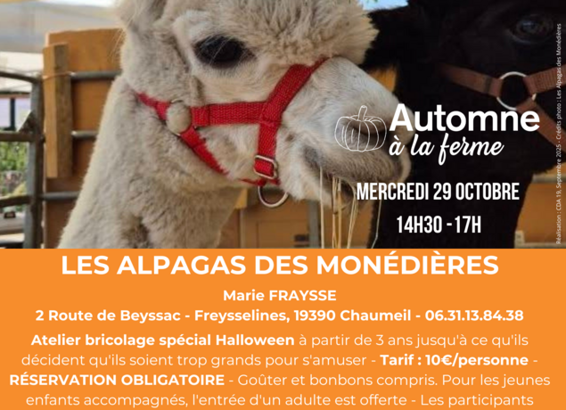 Automne à la ferme - Les Alpagas des Monédières