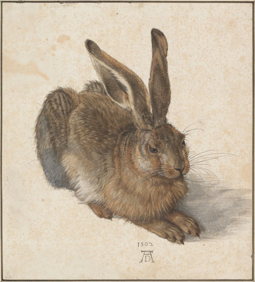 Atelier Animaux de la forêt