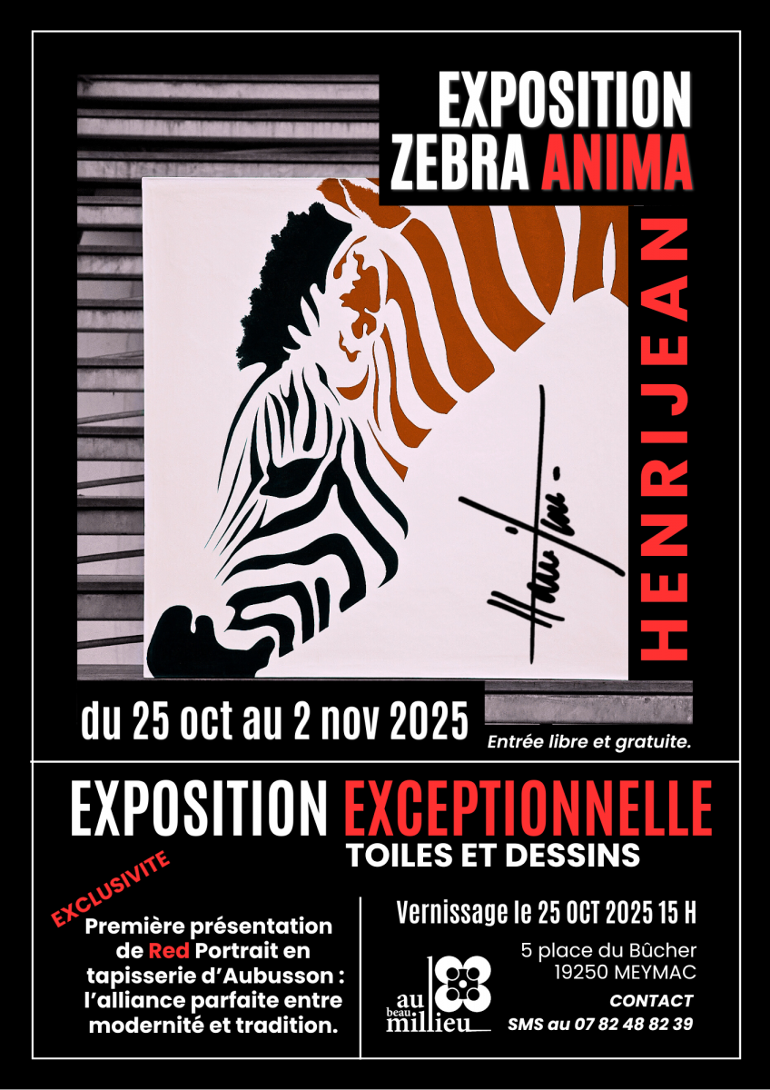 Exposition Zebra Anima d'Henri Jean