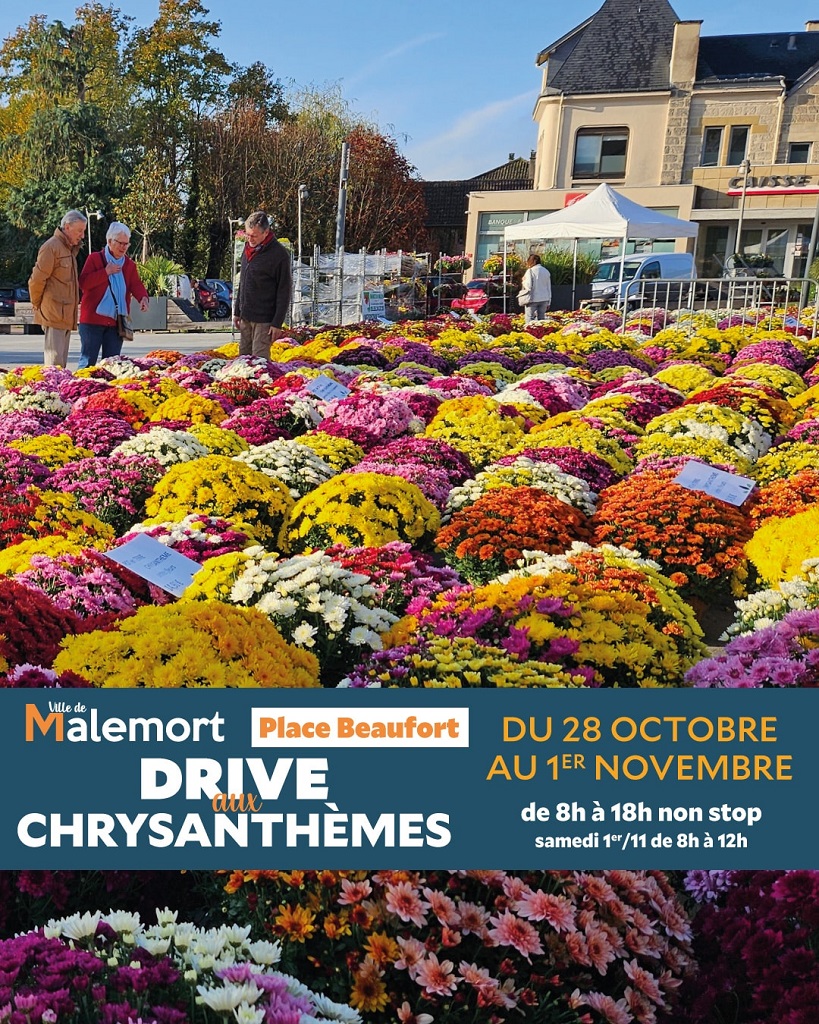 Drive aux chrysanthèmes