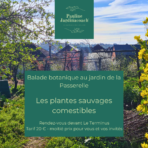 Balade botanique au Jardin partagé de la Passe ...