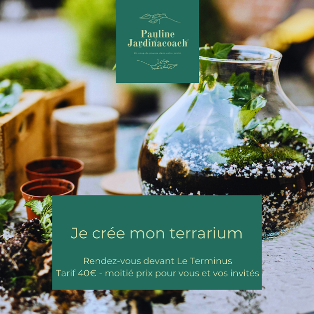 Je crée mon propre terrarium