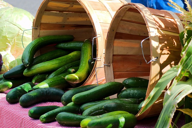 Marché des artisans et des producteurs à Albussac