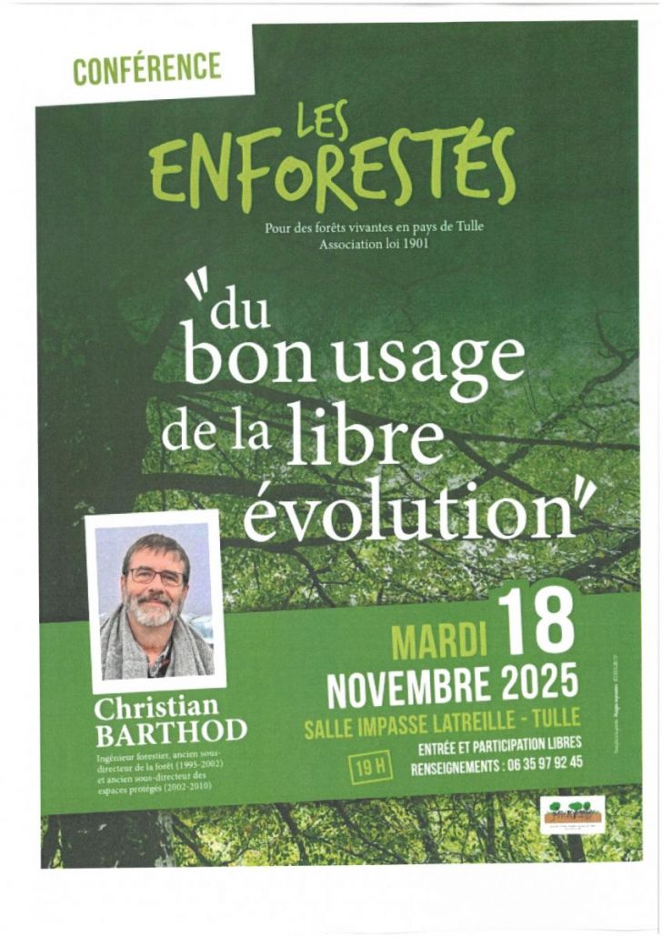 Les Enforestés