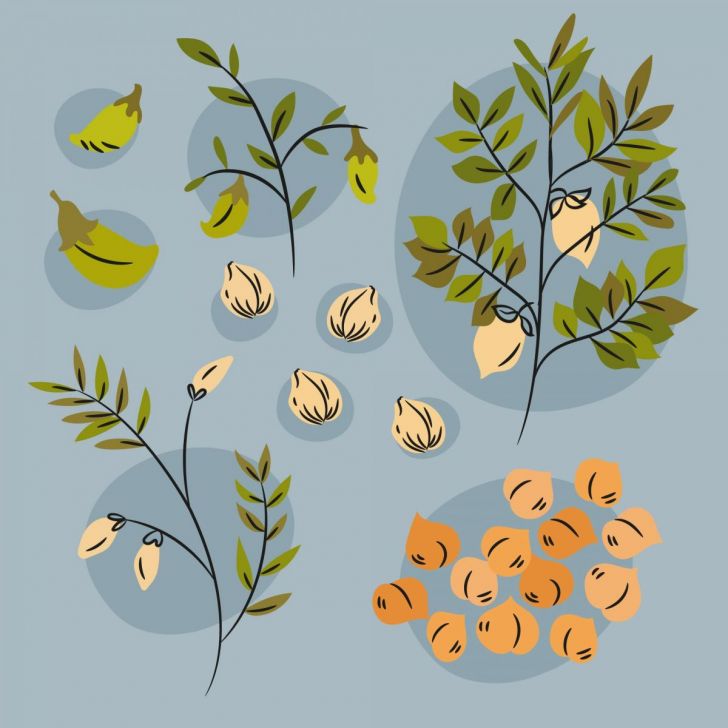 Atelier "Bien récolter ses graines"
