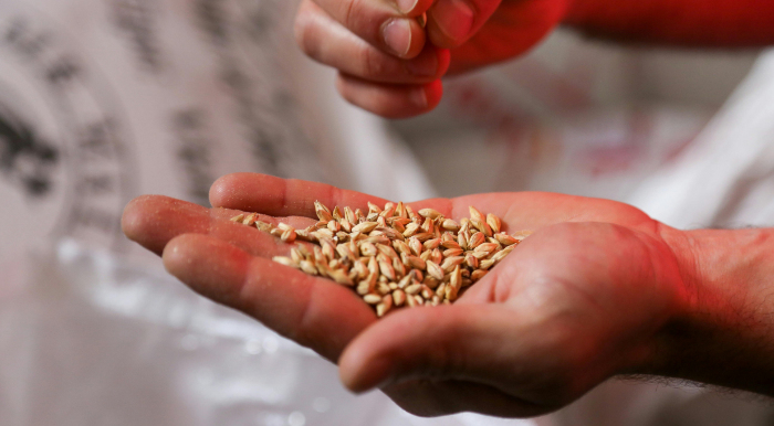 Atelier "Récolte et conservation de graines"
