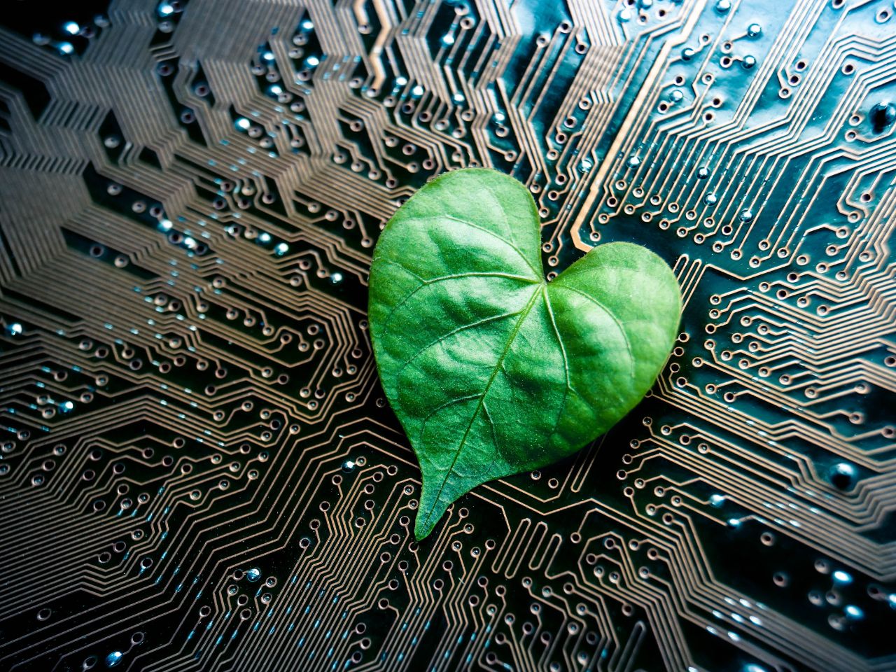 Atelier numérique Gratuit : Mieux utiliser le  ...